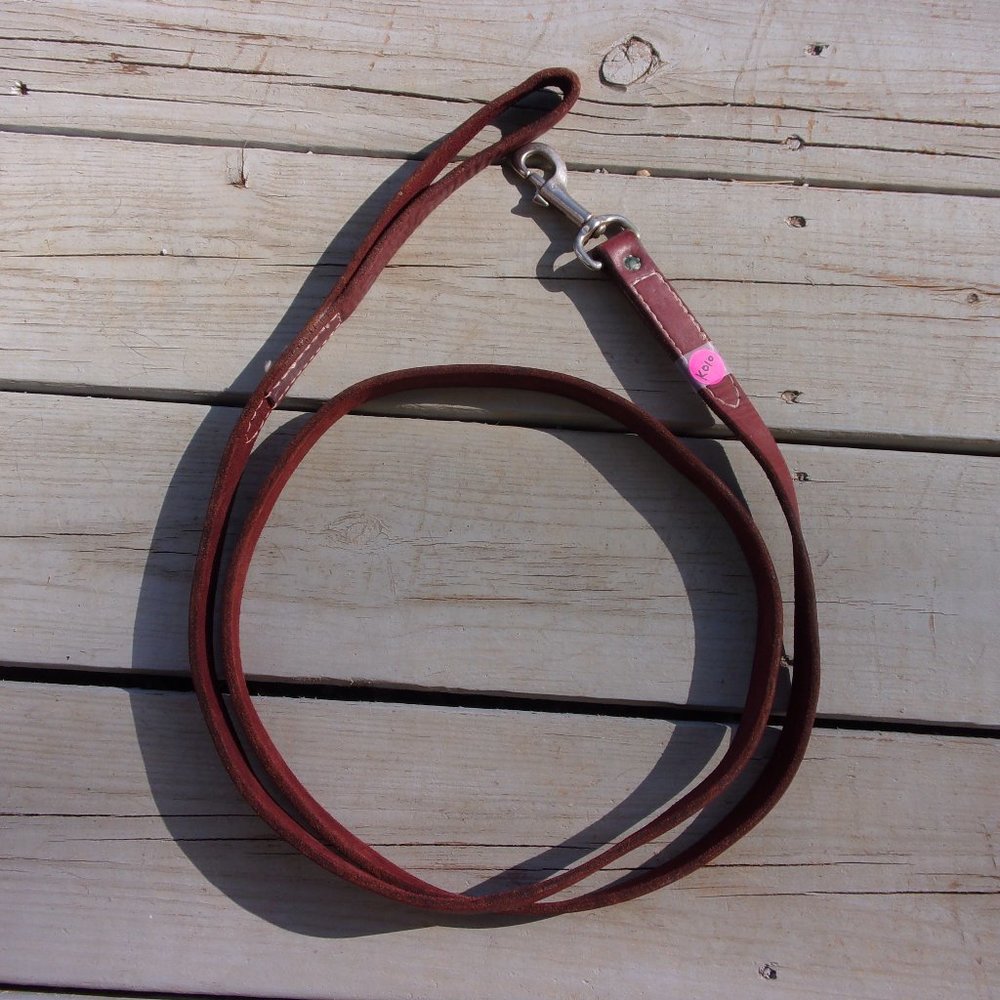 Ray Allen Latigo Leather Classic Lead